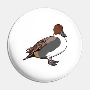 Drawing of Northern Pintail Pin