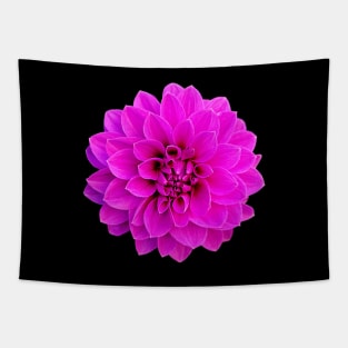 Pink Dahlia Tapestry