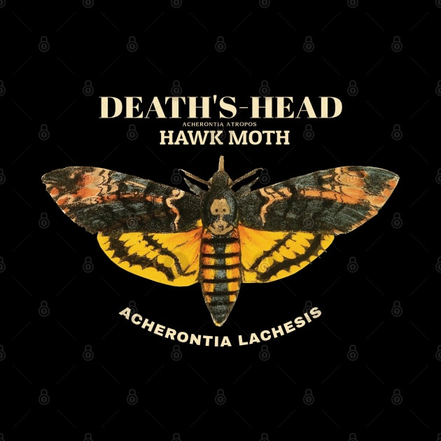 Death's-head hawkmoth by KewaleeTee