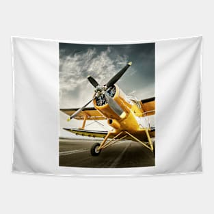 Plane Runway Tapestry