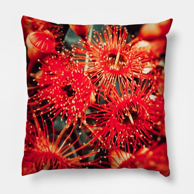 Beautiful Red Spikey Flowers Pillow by Blue Butterfly Designs 