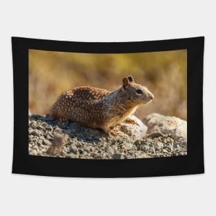 Ground Squirrel Tapestry