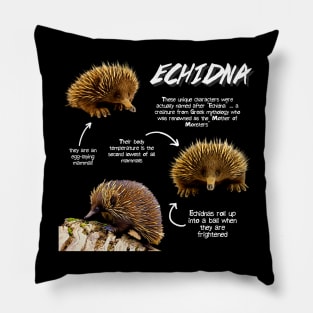 Echidna Fun Facts Pillow