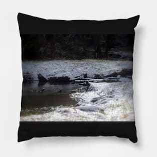 snowy Oregon forest , Fox Creek 8 Pillow