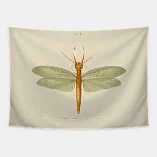 Dragonfly Tapestry