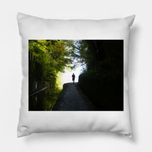 The Runner, along the Canal Pillow