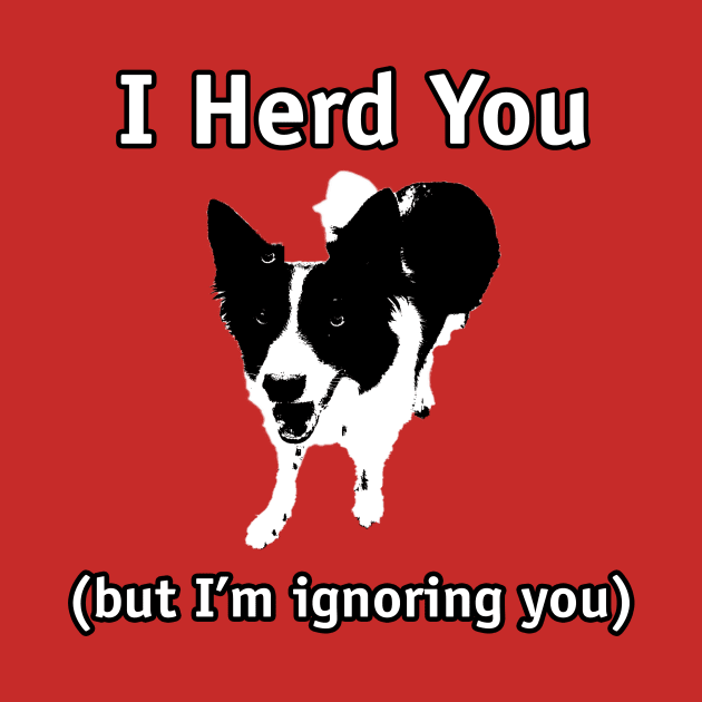 Border Collie - I herd you, but I'm ignoring you by Dogs and other stuff