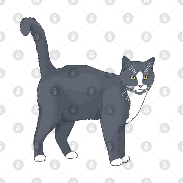 Tuxedo Short Hair Cat by Csieben