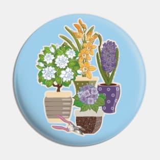 Flowering House Plants Pin