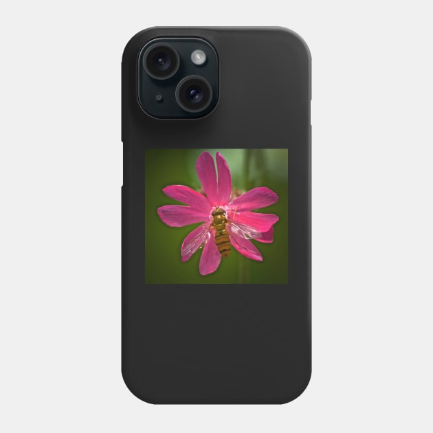 HOVER CHAMPION ON CAMPION Phone Case by dumbodancer