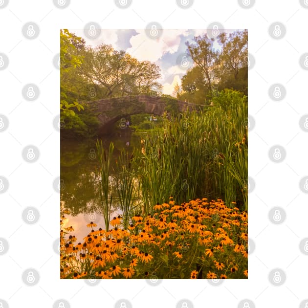 Central Park Flowers Bridge Manhattan NYC by eleonoraingrid