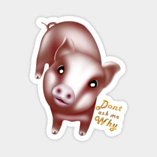 Dont ask why, cute baby pigs, piglet Magnet