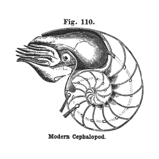 Modern Cephalopod T-Shirt