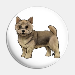 Dog - Norwich Terrier - Grizzle Pin