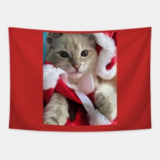 Saoirse ragdoll Santa baby Tapestry