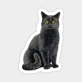 Black cat with golden eyes Magnet