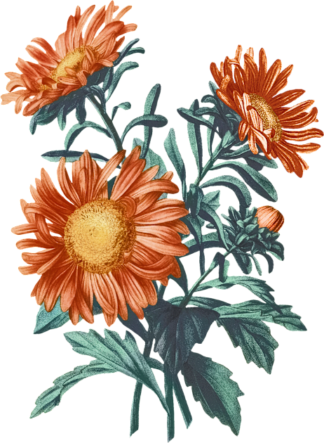 Teal orange flowers Kids T-Shirt by PallKris