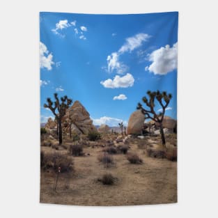 Blue Skies Tapestry