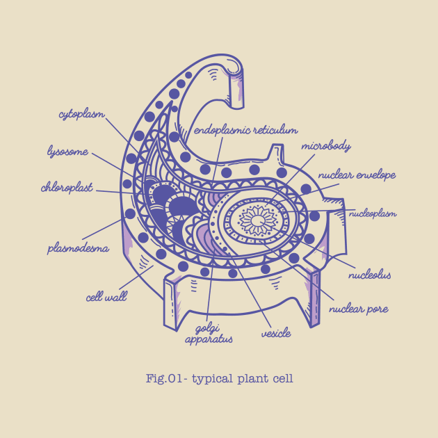 Typical Plant Cell by micronisus