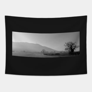 Wrekin in black and white Tapestry