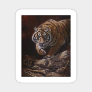 animal tiger Magnet