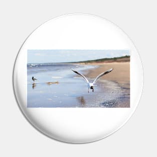 White seagull flying above the seacoast Pin