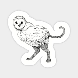 Owl-Cat hybrid Magnet