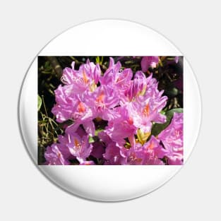 Pink Azalea Blossom Pin