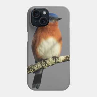 Eastern Bluebird Phone Case