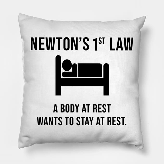 Newton's First Law- Funny Physics Joke Pillow by ScienceCorner