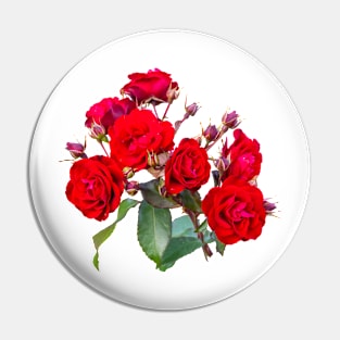 Red red roses Pin