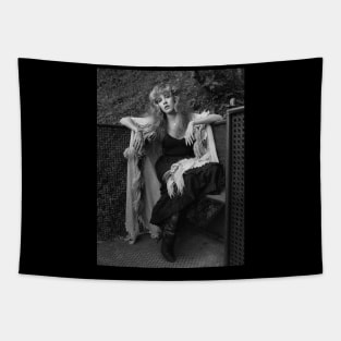 Stevie Nicks Tapestry