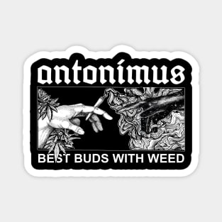 best buds with weed Magnet