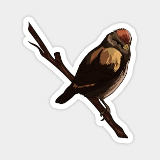 Old World Sparrow Magnet