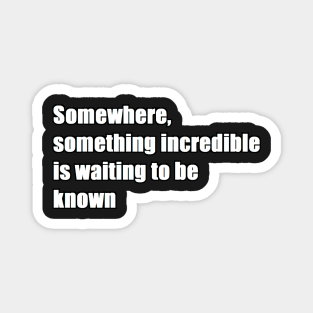 somewhere, something incredible is waiting to be known Magnet