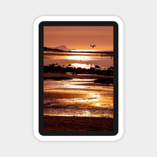 Sunset on the beach of the Scottish Town of North Berwick Magnet