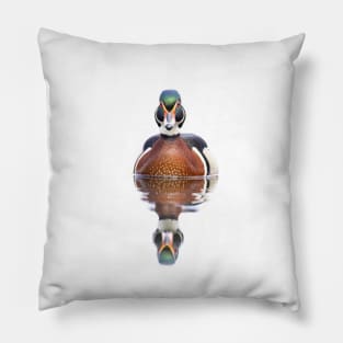 Wood duck swimming in Spring Pillow