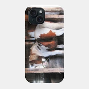 Horses - Pinto Looking Back Phone Case