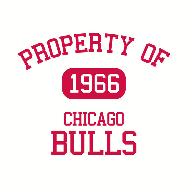 Property of Chicago Bulls by Funnyteesforme