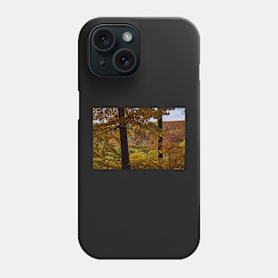 Autumn colours Phone Case