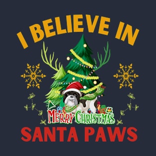 I Believe In Santa Paws T-Shirt