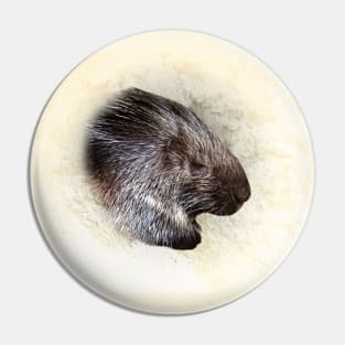 Crested porcupine Pin