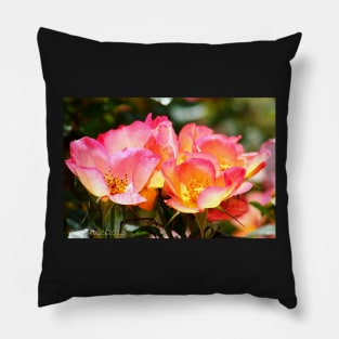 Roses in Bloom Pillow