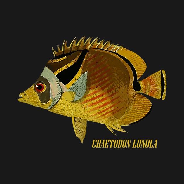 Butterflyfish Chaetodon lunula Reef Aquarist by cassettag