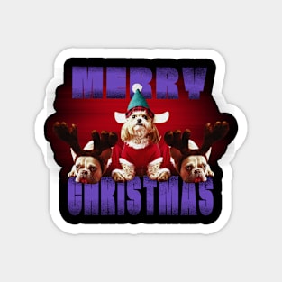 Christmas Magnet