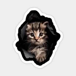Cat Motif Art Design I Love Cats Meow House Cat for Cat Lovers Magnet