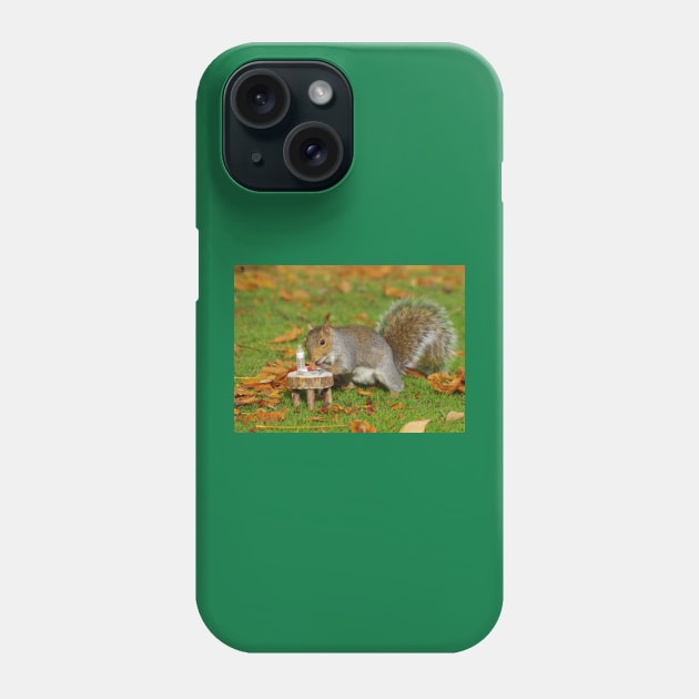 squirrel pick nick Phone Case by Simon-dell