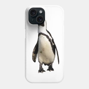 African Penguin Boulders Beach, Cape Town, South Africa Phone Case