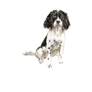 English Springer Spaniel Dog Dad, Dog Dad, Dog Daddy, Gift from the Dog, Dog Dad Gift, Dog Dad Present, Dog Daddy Present, Gift for Dog Dad, Present from the Dog T-Shirt