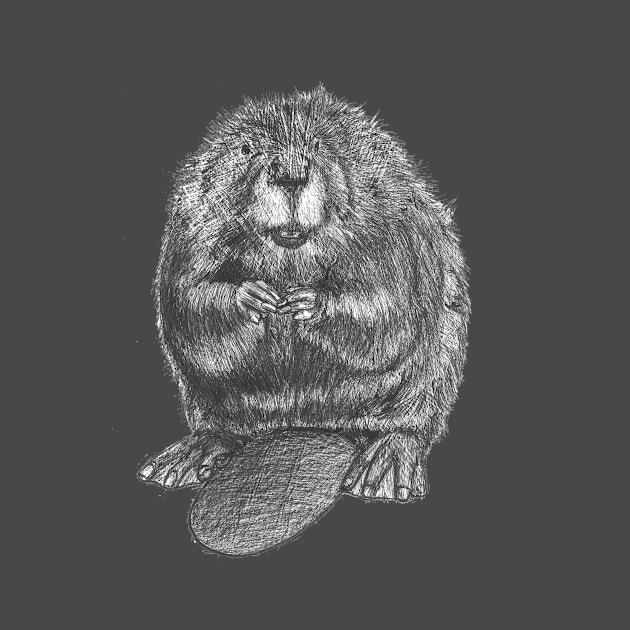 Beaver by Nasir